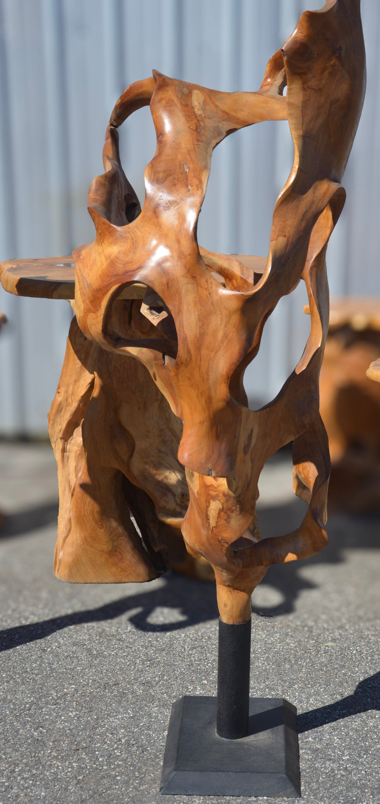 Teak Wood Sculptures