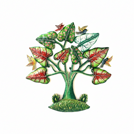 Caladium- Heart Of Jesus