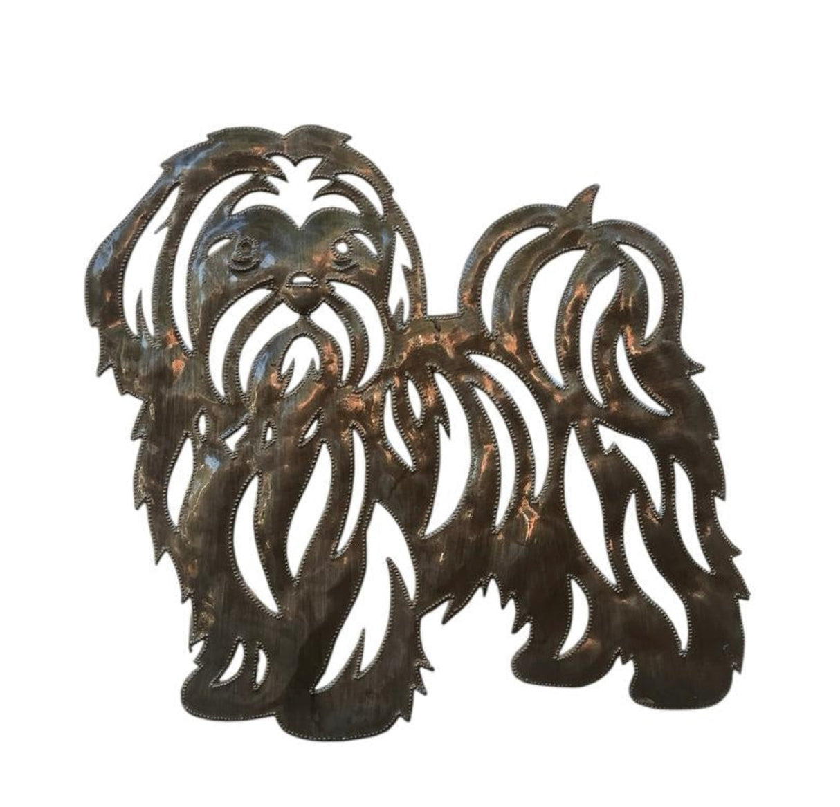 Shih Tzu