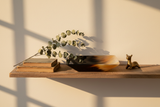 Haitian black amber horn bowl on bohemian shelf with books and dried eucalyptus in golden light