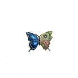 Butterfly Half and Half