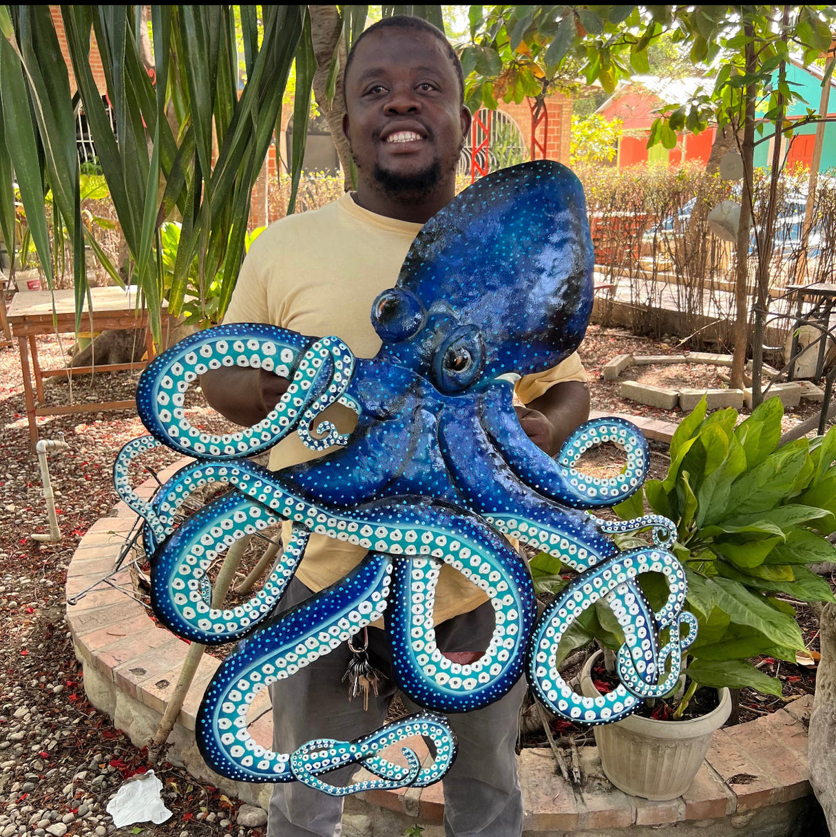 Gauyo Octopus