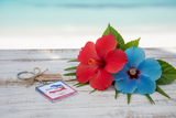 Haiti map keychain with tropical hibiscus flowers – artisan gift presentation